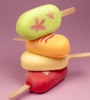 GT Designer Glacier - Lots 5 esquimaux