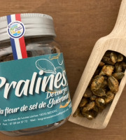 Les Graines de Louise - Pralines de Courge Fleur de Sel Biologique pot 100g