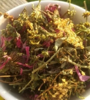 La Cabane à plantes - Infusion Résistance