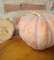 Ferme de Cernunnos - Courge Futsu Black