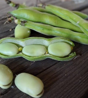 Les Jardins de Gérard - Fève Bio - 1 kg