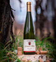 Domaine François WECK et fils - Riesling 2023 -75cl x12