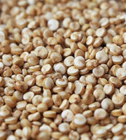 Mon Petit Producteur - Quinoa Bio - 20 kg