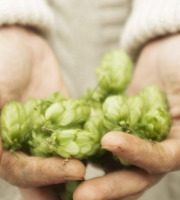 La Cabane à plantes - Infusion Rencontre avec Morphée