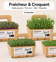 Ma Micropousse culinaire - Micro-pousses bio – Pack Fraîcheur & Croquant – Radis, pois vert, kale & roquette – 8 barquettes