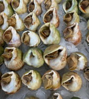 L'atelier des poissonniers - BULOTS