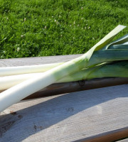 Le Châtaignier - Poireaux - 1kg