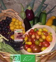 LES JARDINS DE KARINE - PANIER modulable / FRUITS et LEGUMES bios d'ETE