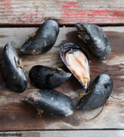 Camargue Coquillages - Très Grosses Moules de Camargue - 1kg