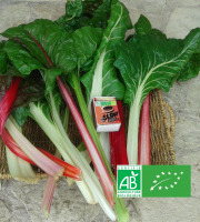 LES JARDINS DE KARINE - Blette entière 1kg - 4 personnes