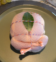 Terre de Gallie - Perdreaux farcis aux girolles