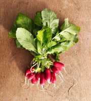 Nature et Saveurs - Ferme Aquaponique et Permacole Astérienne - Radis long rose Artus en botte – fraîcheur croquante du maraîche