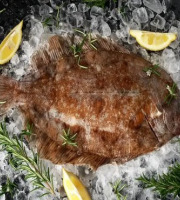 Brest Marée - Limande Sole - pièce de 350g