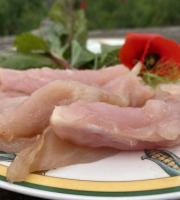 Des Poules et des Vignes à Bourgueil - Aiguillettes de Géline de Touraine