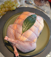 Terre de Gallie - "SPECIAL FETES" FAISAN FARCI FORESTIER