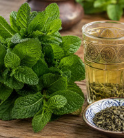 Le Paradis d'Escargot - un bouquet de la menthe et une dose de the ver