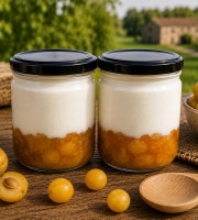 Gaec de l'Elanion - Lot de 2 Fromage Blanc Mirabelle