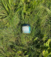 Agriloops - Pesto au Basilic Breton 90g