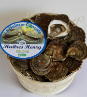 Huîtres Henry - 50 Huîtres Plates Belons BIO Grosses