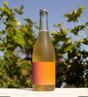 OMAFRIDA - Pétillant sans alcool : La Cuvée N°003