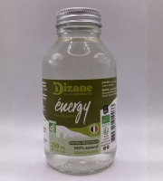 Ferme de Vanadal - Dizane Energy – Concentré bio tonifiant, boost naturel sans sucre