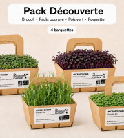 Ma Micropousse culinaire - Micro-pousses bio – Pack Découverte – Brocoli, radis pourpre, pois vert & roquette – 4 barquettes