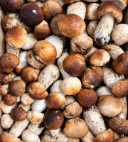 Naturélium - Cèpes – Cueillette sauvage en France, chair blanche et ferme, 250 g à 3 kg