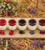 Gaec de l'Elanion - lot de 16 yaourts mélangé spécial fruit rouge