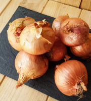 Gourmets de l'Ouest - Oignons rosés de Saint-Malo - 3kg