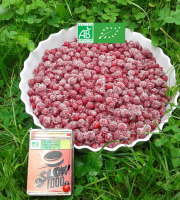 LES JARDINS DE KARINE - Groseilles rouges surgelées - 1kg