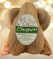 La Famille Mille - Le Maraudeur - Le Très Gros Chapon Plein air de notre ferme entre 4 et 4,4kg