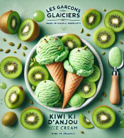 Les Garçons Glaciers - Sorbet BIO Kiwi d'Anjou 500ml