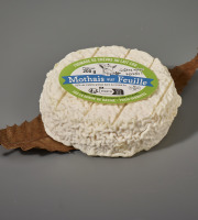 Laiterie de Pamplie - Mothais sur feuille