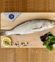 La Criée d'à Côté - Maigre | pièce de 650g à 750g