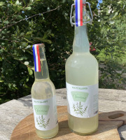 Ferme Sinsac - [Précommande] Lot de 12 bouteilles de pétillant de Verveine sans alcool 33cl