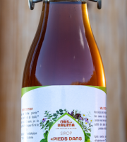 Ors na Bruma - Sirop Pieds dans le Gave 20cl