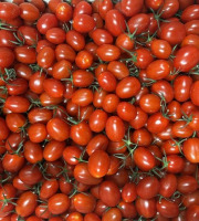 Agriloops - Tomates cerises allongées – Poly 2 kg