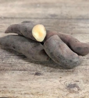 Langevine - Poire de Terre BIO "Yacon" 2kg