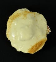 Poissonnerie Robert - Coquille Saint-Jacques