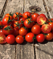 La Boite à Herbes - Tomates cerises bio - 3kg