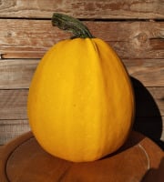 Ferme de Cernunnos - Courge d'Halloween