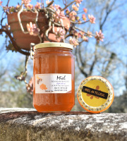 La Truite du Mézenc - Miel de Tilleul - 1kg