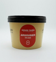 GT Designer Glacier - Sorbet Argousier 500ml