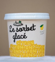 Bon Dimanche - Sorbet Citron de Sicile Plein Fruit Bio 2,5L