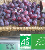 LES JARDINS DE KARINE - Prune Damas - 5kg