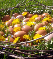 Ferme Sinsac - Oeufs fermier en plateaux de 30 oeufs (M)