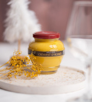 Domaine des Terres Rouges - Moutarde Au Crémant d'Alsace 200g