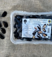 Saint Kerber - Cancale - Moules de bouchot STG  barquette 1kg
