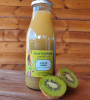 Verger Nantes Prim - Smoothie de kiwi vert (75 cl)