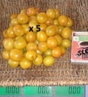 LES JARDINS DE KARINE - Prune Myrobolan jaune surgelée avec noyau - 5kg